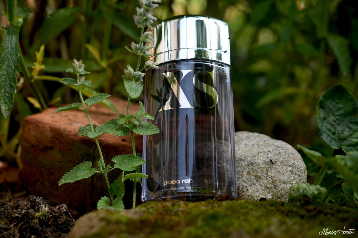 عطر ادکلن ایکس اس رابان - XS (2018) Rabanne - بررسی، قیمت و خرید