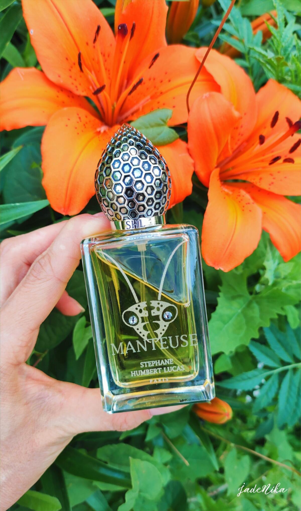 عطر ادکلن منتوز استفان هامبرت لوکاس ۷۷۷ - Manteuse Stéphane Humbert Lucas 777 - بررسی، قیمت و خرید