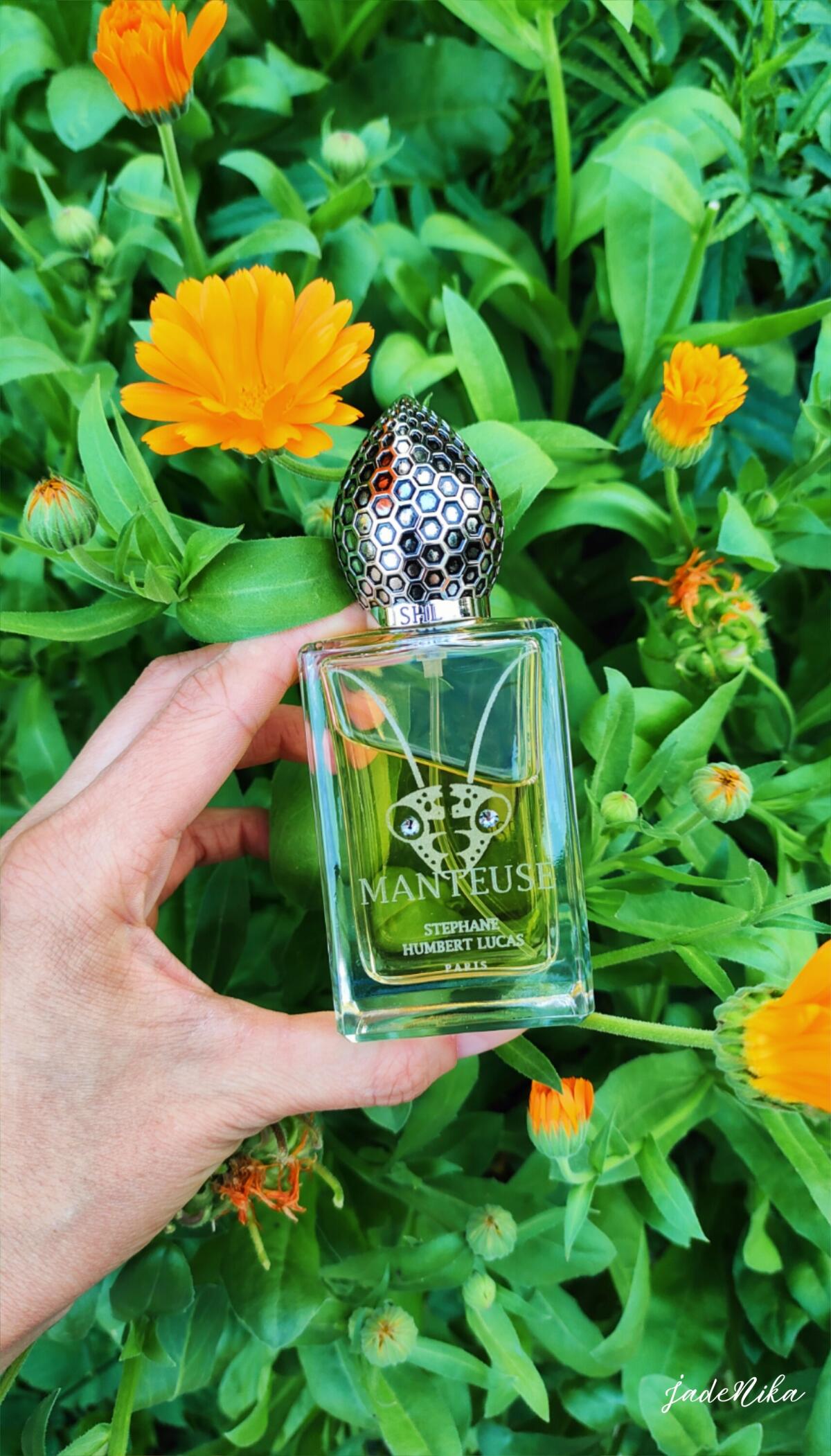 عطر ادکلن منتوز استفان هامبرت لوکاس ۷۷۷ - Manteuse Stéphane Humbert Lucas 777 - بررسی، قیمت و خرید