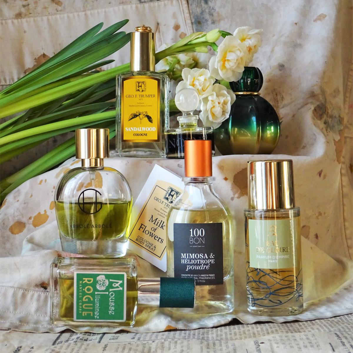 عطر ادکلن نورنه اویل اسلمبرهاوس - Norne Oil Slumberhouse - بررسی، قیمت و خرید