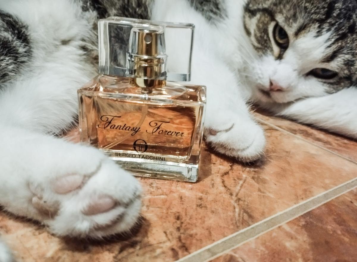 عطر ادکلن فنتسی فورِوِر سرجیو تاچینی - Fantasy Forever Sergio Tacchini - بررسی، قیمت و خرید