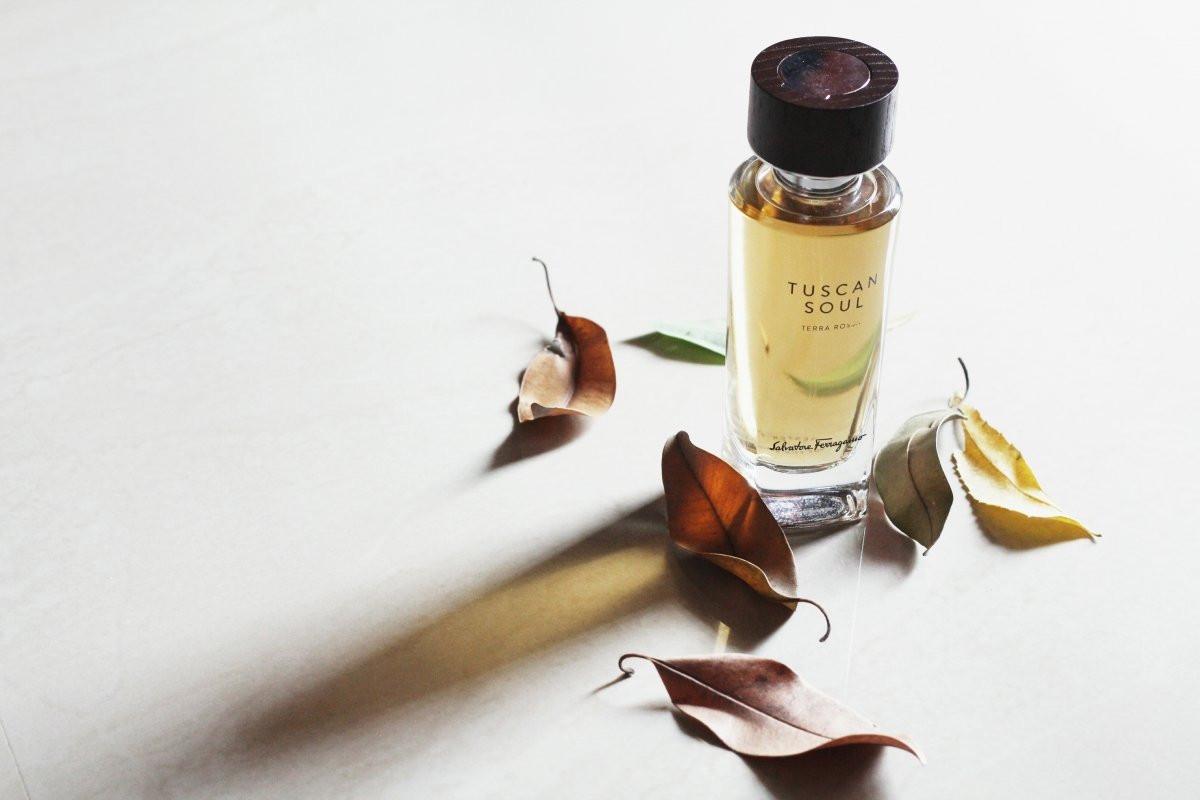 عطر ادکلن ترا روسا سالواتوره فراگامو - Terra Rossa Salvatore Ferragamo - بررسی، قیمت و خرید