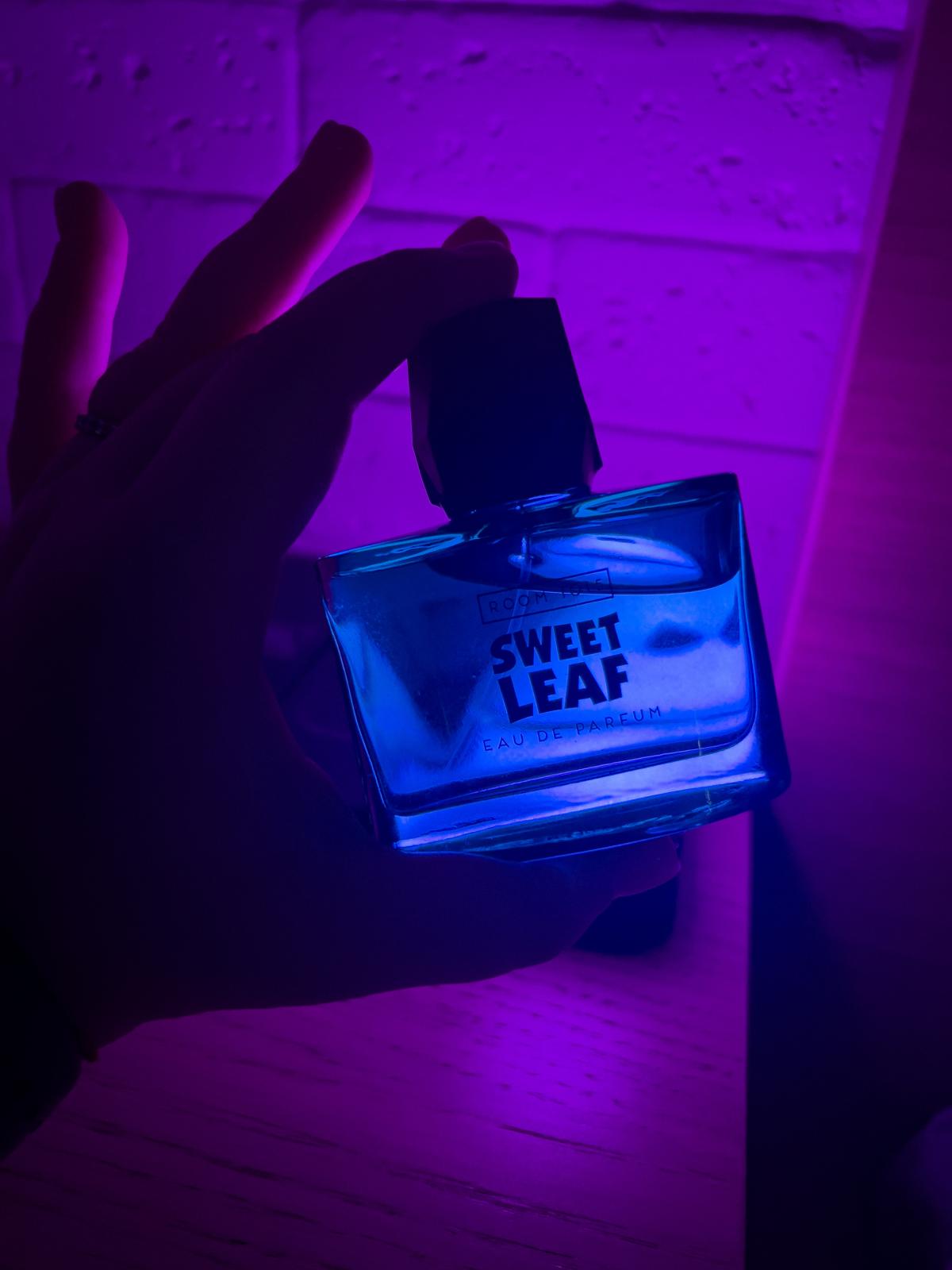 عطر ادکلن سویت لیف روم صد و پانزده - Sweet Leaf Room 1015 - بررسی، قیمت و خرید