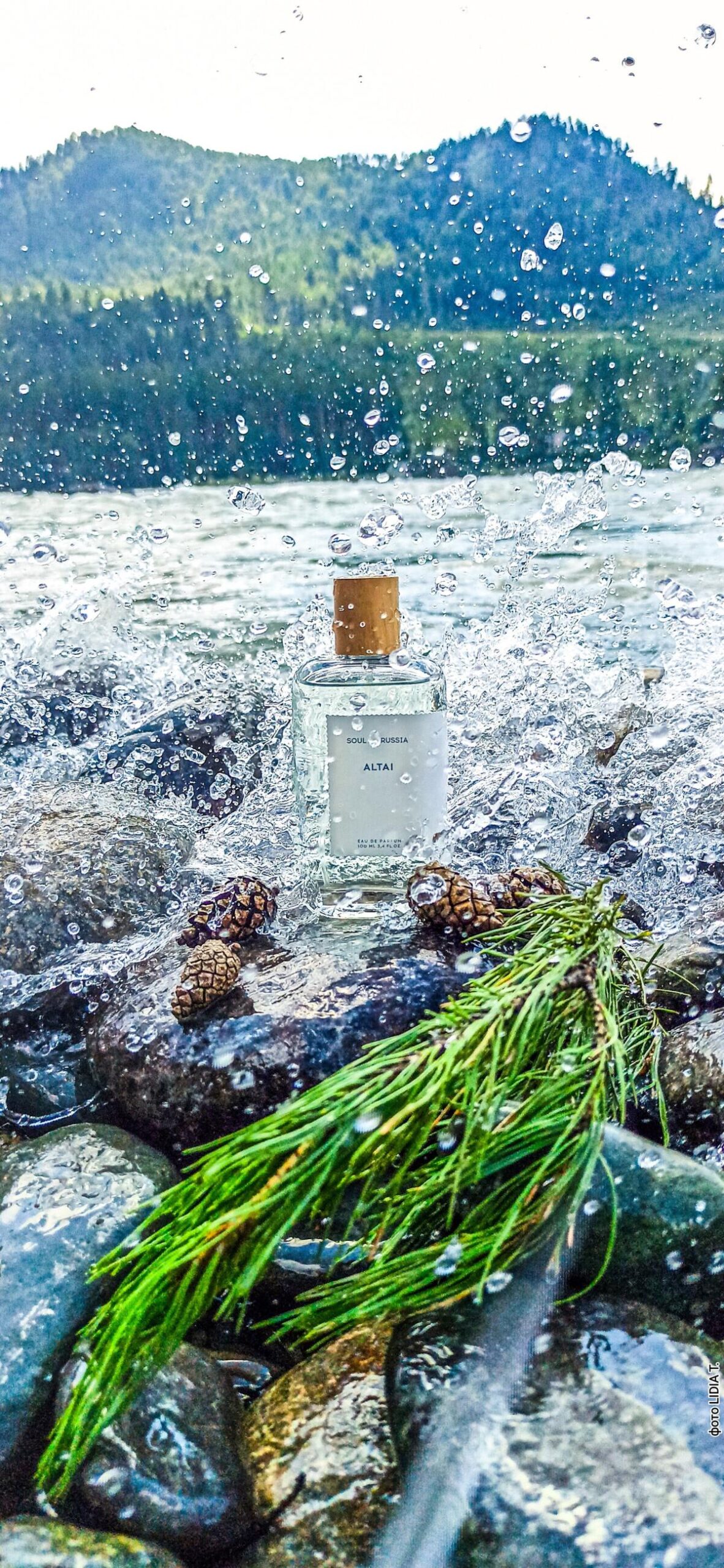 عطر ادکلن آلتای سول آو راشا - Altai Soul of Russia - بررسی، قیمت و خرید