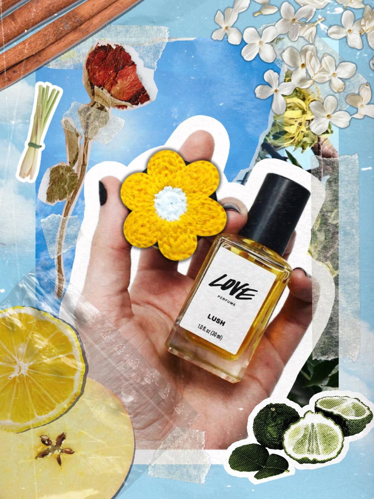 عطر ادکلن لاو لاش - Love Lush - بررسی، قیمت و خرید