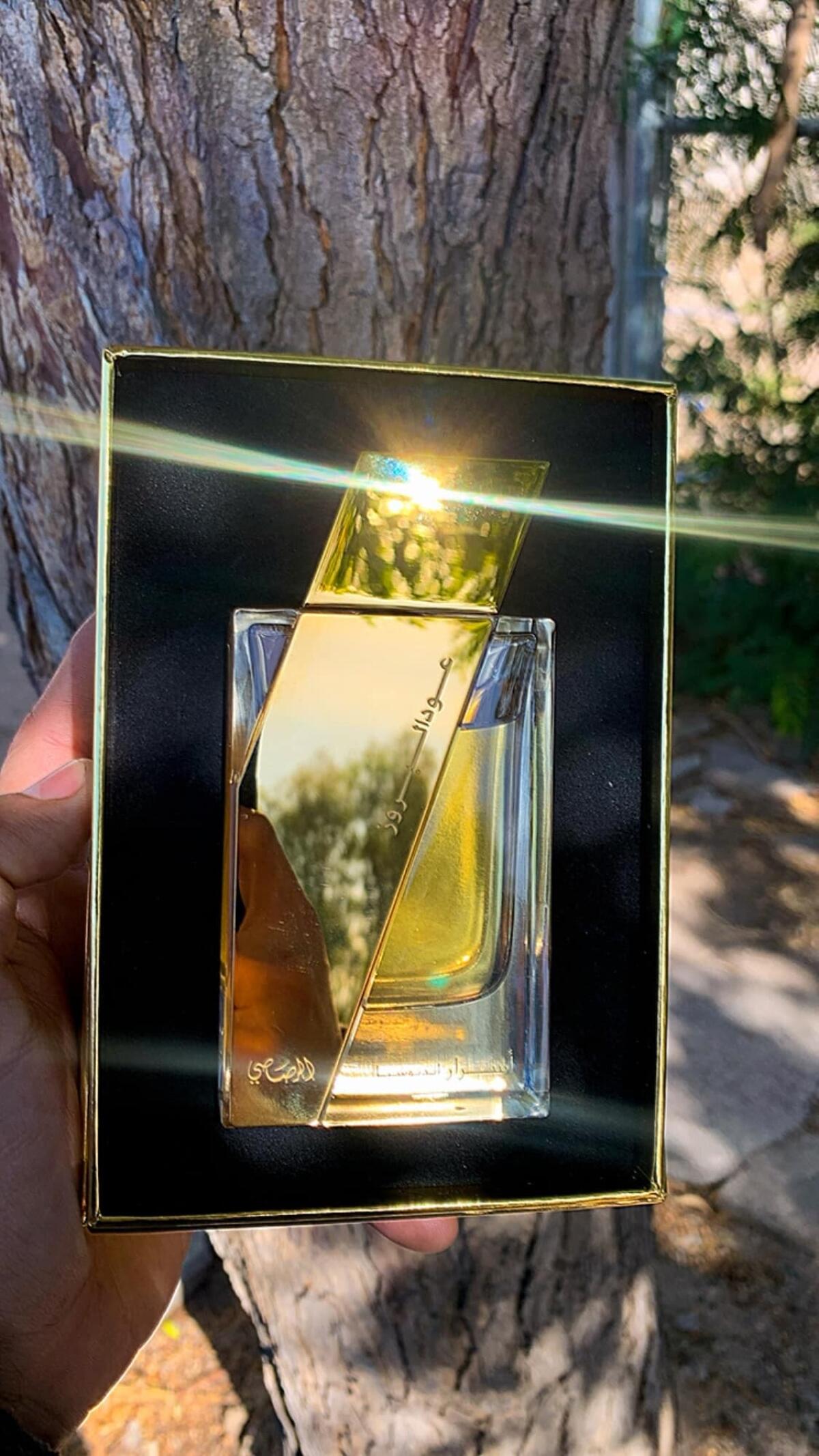 عطر ادکلن عود البروز اسرار اندونزیا راساسی - Oudh Al Boruzz Asrar Indonesia Rasasi - بررسی، قیمت و خرید