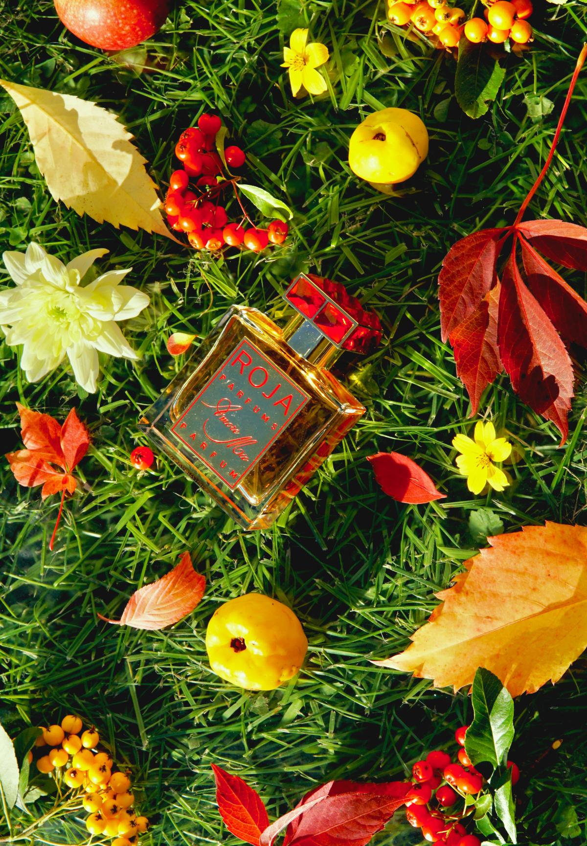 عطر ادکلن اموره میو روجا داو - Amore Mio Roja Dove - بررسی، قیمت و خرید