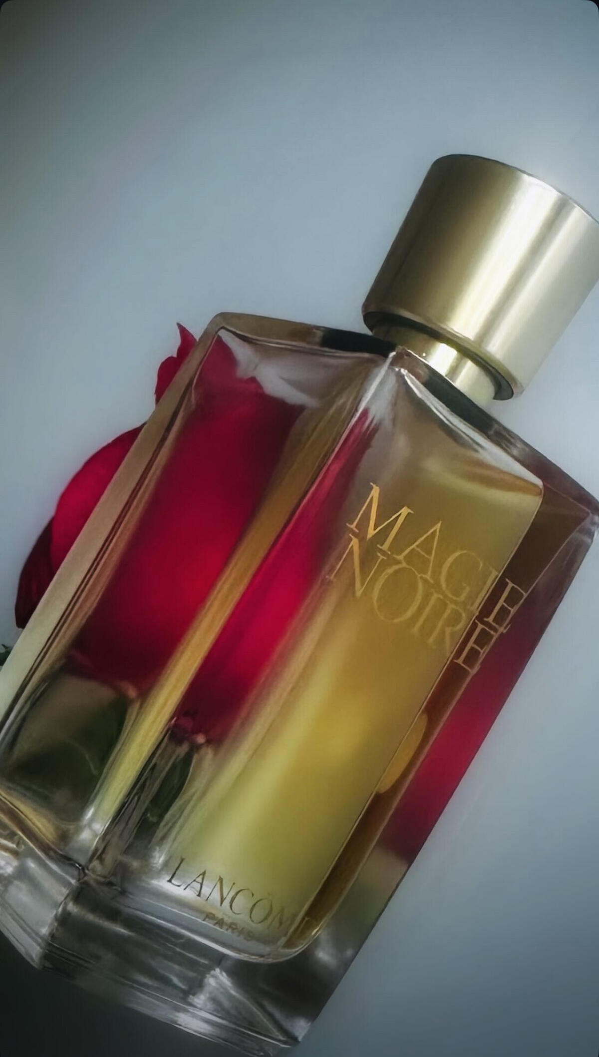 عطر ادکلن ماژی نوار لانکوم - Magie Noire Lancôme - بررسی، قیمت و خرید