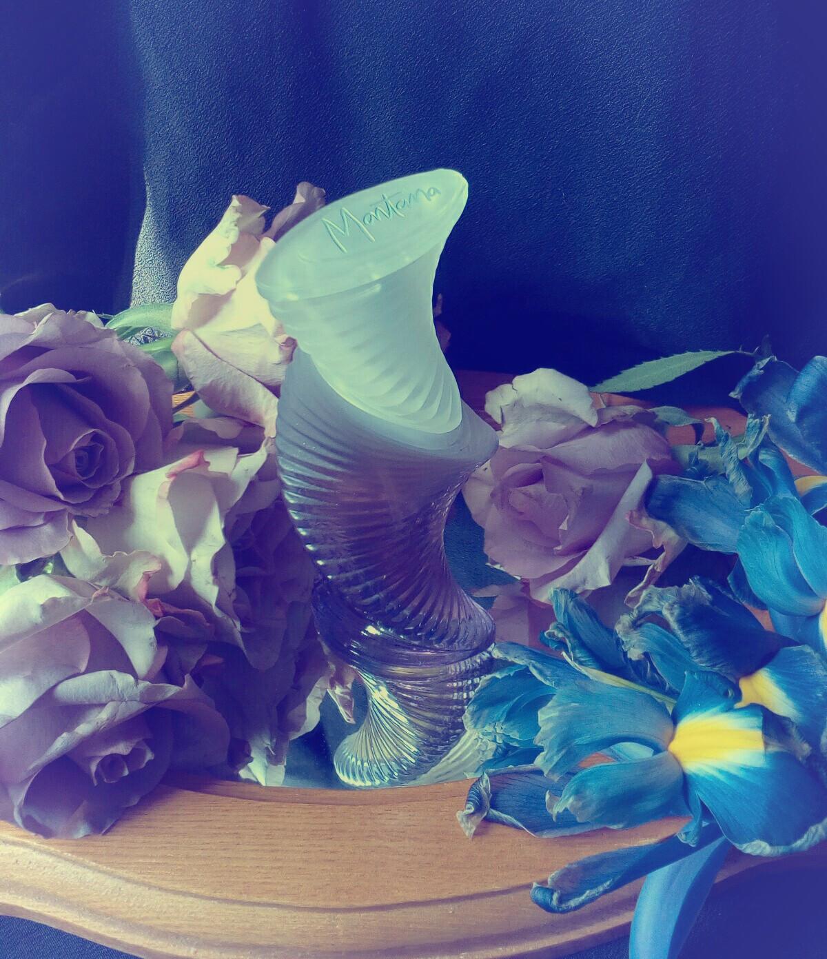 عطر ادکلن مونتانا مود سکسی مانتانا - Montana Mood Sexy Montana - بررسی، قیمت و خرید