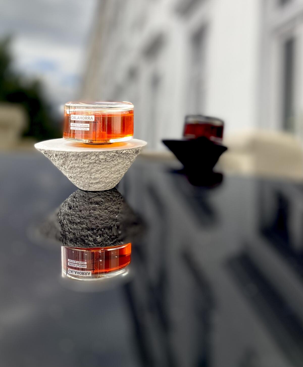 عطر ادکلن کالاهورا وها پرفیومز - Calahorra Woha Parfums - بررسی، قیمت و خرید
