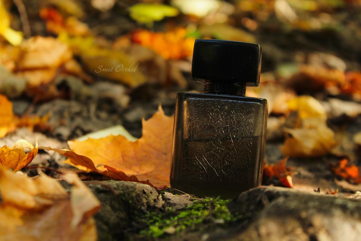 عطر ادکلن توندارا روج بانی روج - Tundra Rouge Bunny Rouge - بررسی، قیمت و خرید