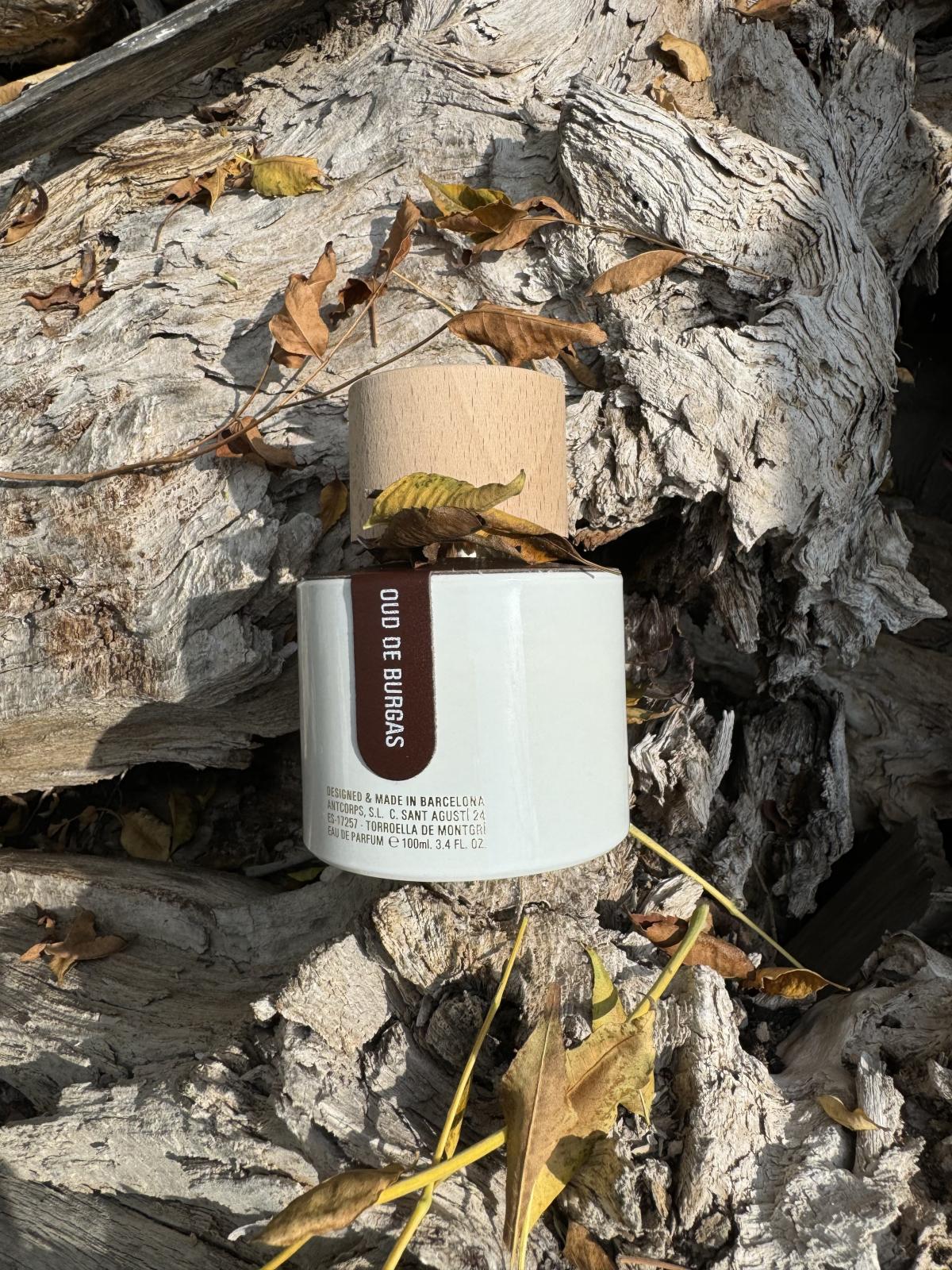 عطر ادکلن اود د بورگاس سانتی برگاس - Oud de Burgas Santi Burgas - بررسی، قیمت و خرید