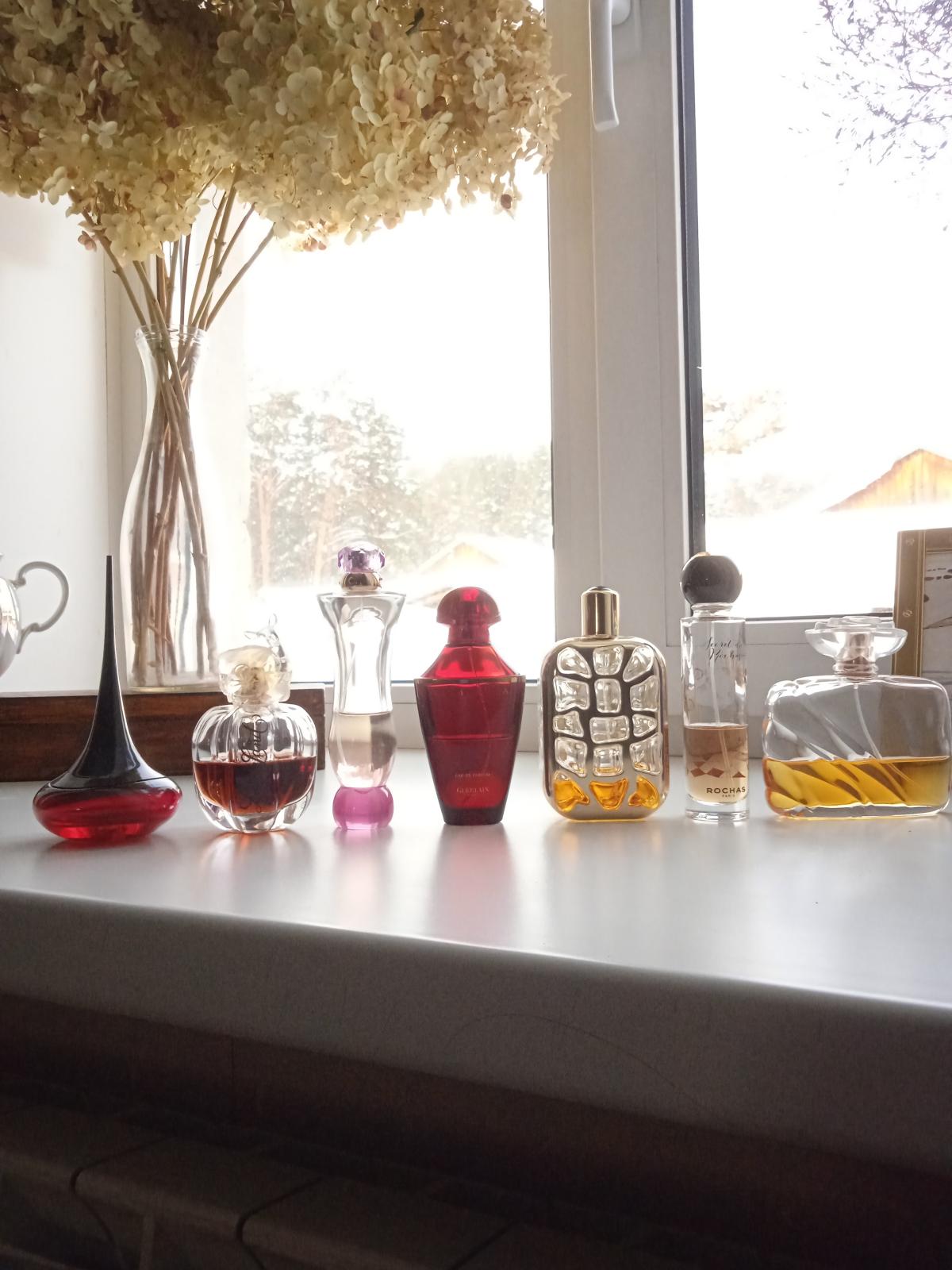 عطر ادکلن سکره دو روشا اود میستر روچاس - Secret de Rochas Oud Mystère Rochas - بررسی، قیمت و خرید
