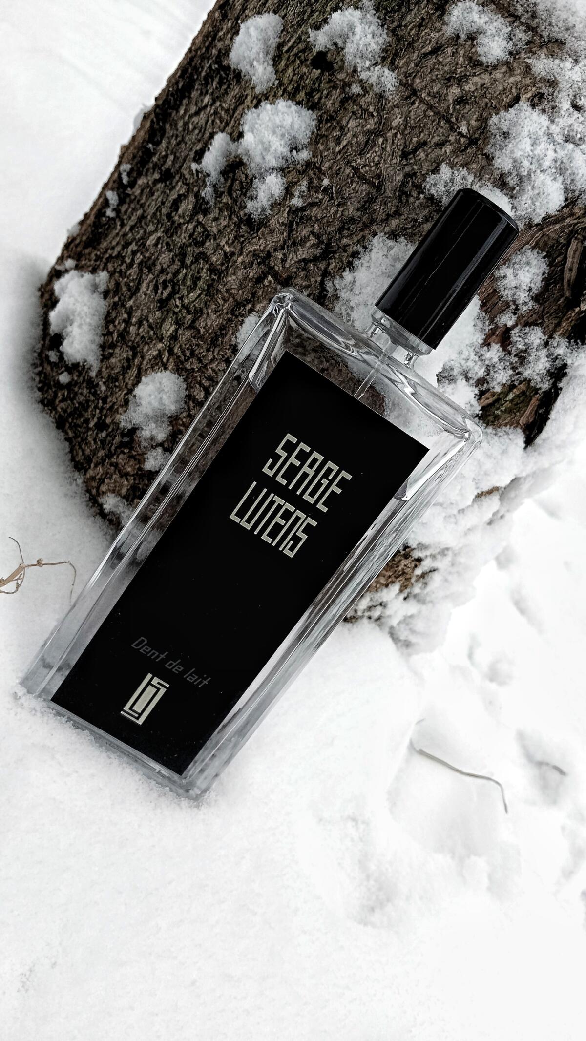 عطر ادکلن دندلی سرج لوتانز - Dent de Lait Serge Lutens - بررسی، قیمت و خرید