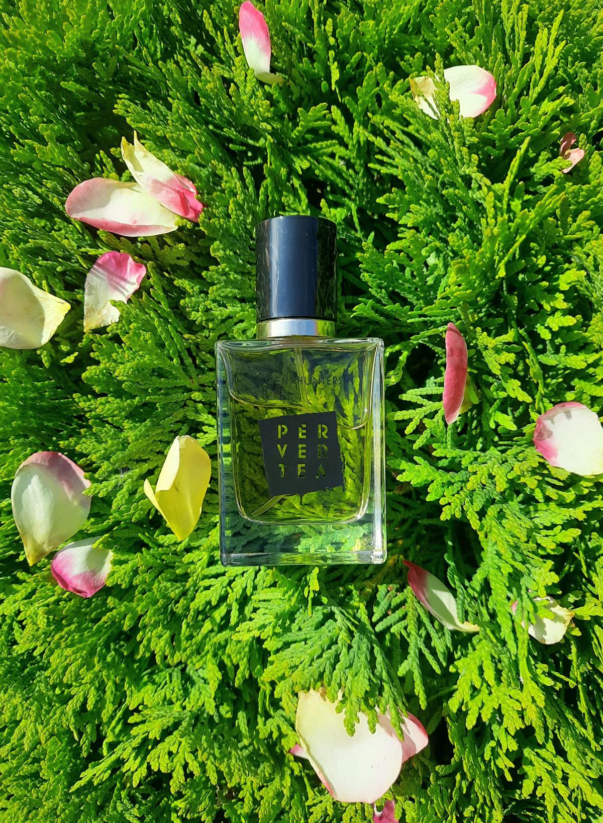 عطر ادکلن پروورتیا سنت هانترز - Pervertea Scent Hunters - بررسی، قیمت و خرید