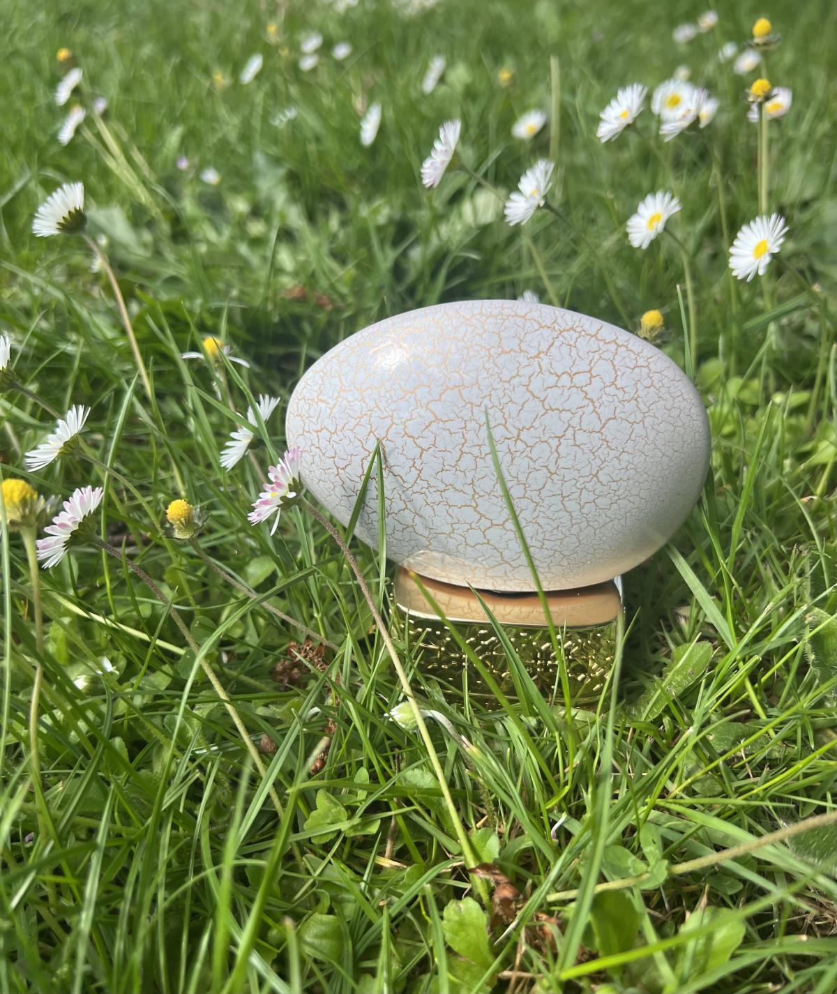 عطر ادکلن بِرِث آو دِ اینفینیت د هاوس آو عود - Breath Of The Infinite The House of Oud - بررسی، قیمت و خرید