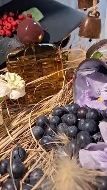 عطر ادکلن راوک روبرتو گریگو - Rauque Roberto Greco - بررسی، قیمت و خرید