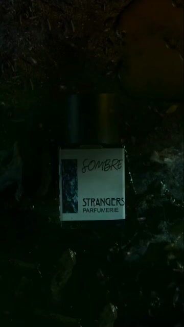 عطر ادکلن سامبر استرنجرز پرفیومری - Sombre Strangers Parfumerie - بررسی، قیمت و خرید