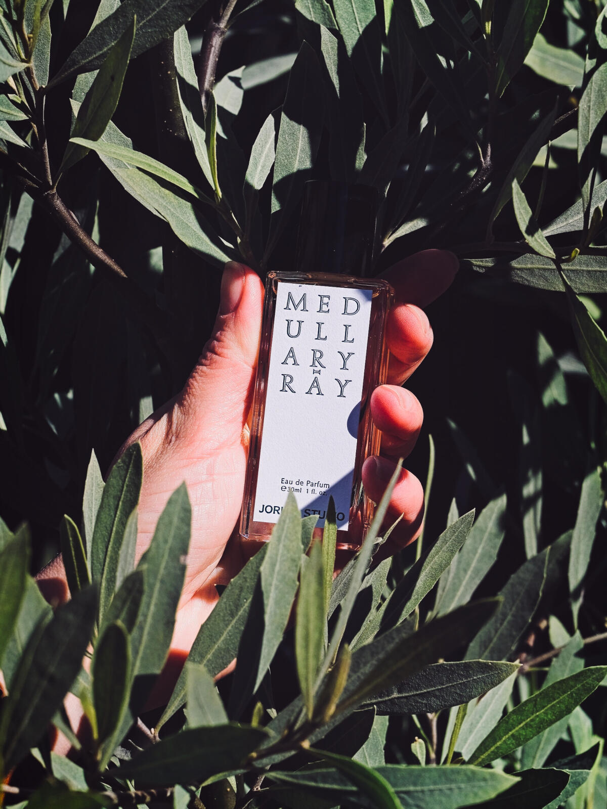 عطر ادکلن فایر واتر جوروم استودیو - Firewater Jorum Studio - بررسی، قیمت و خرید