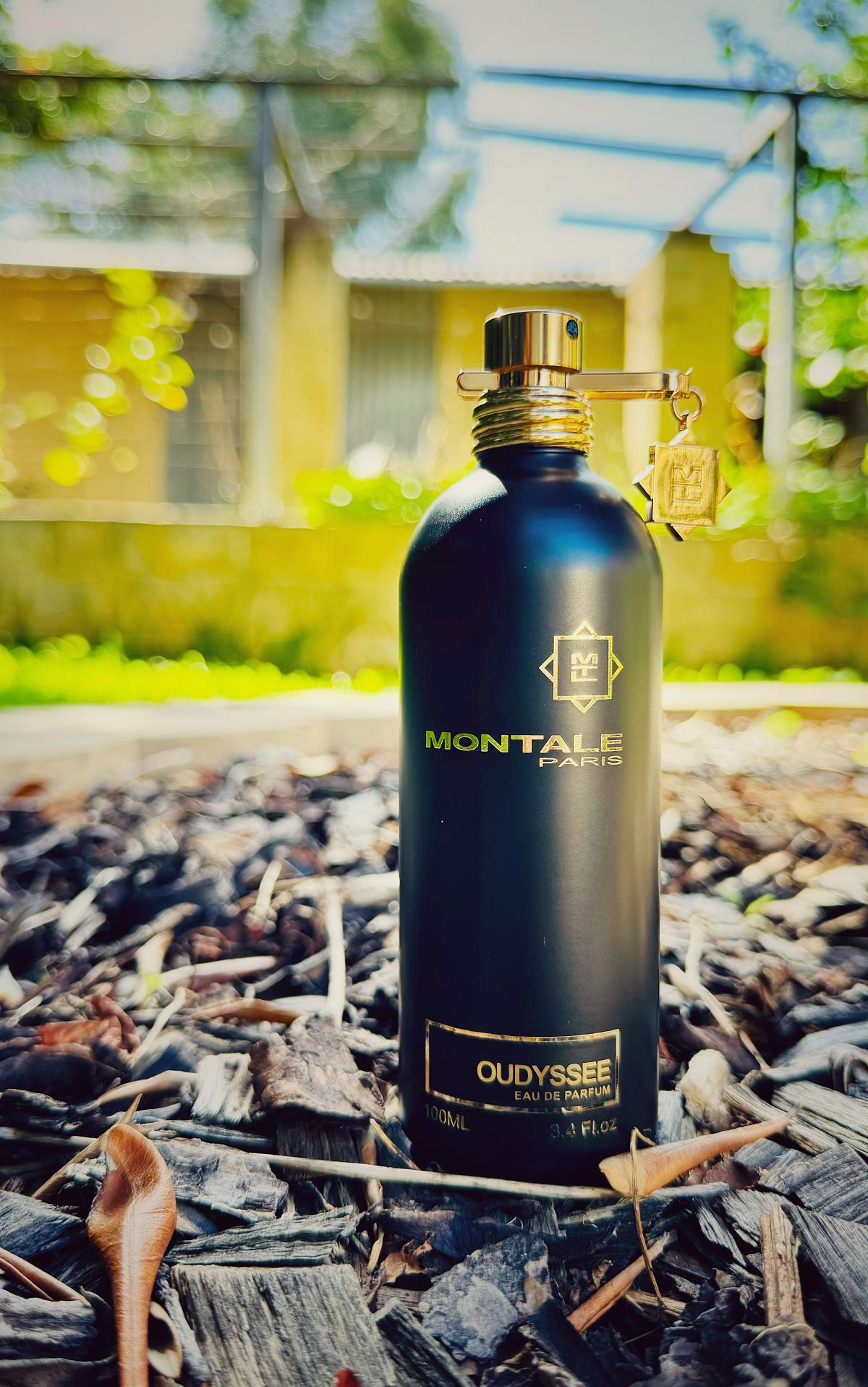 عطر ادکلن اودیسه مونتال - Oudyssee Montale - بررسی، قیمت و خرید