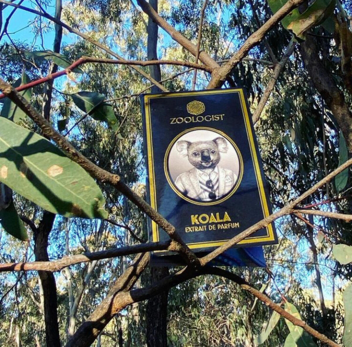 عطر ادکلن کوالا زولوژیست پرفیومز - Koala Zoologist Perfumes - بررسی، قیمت و خرید