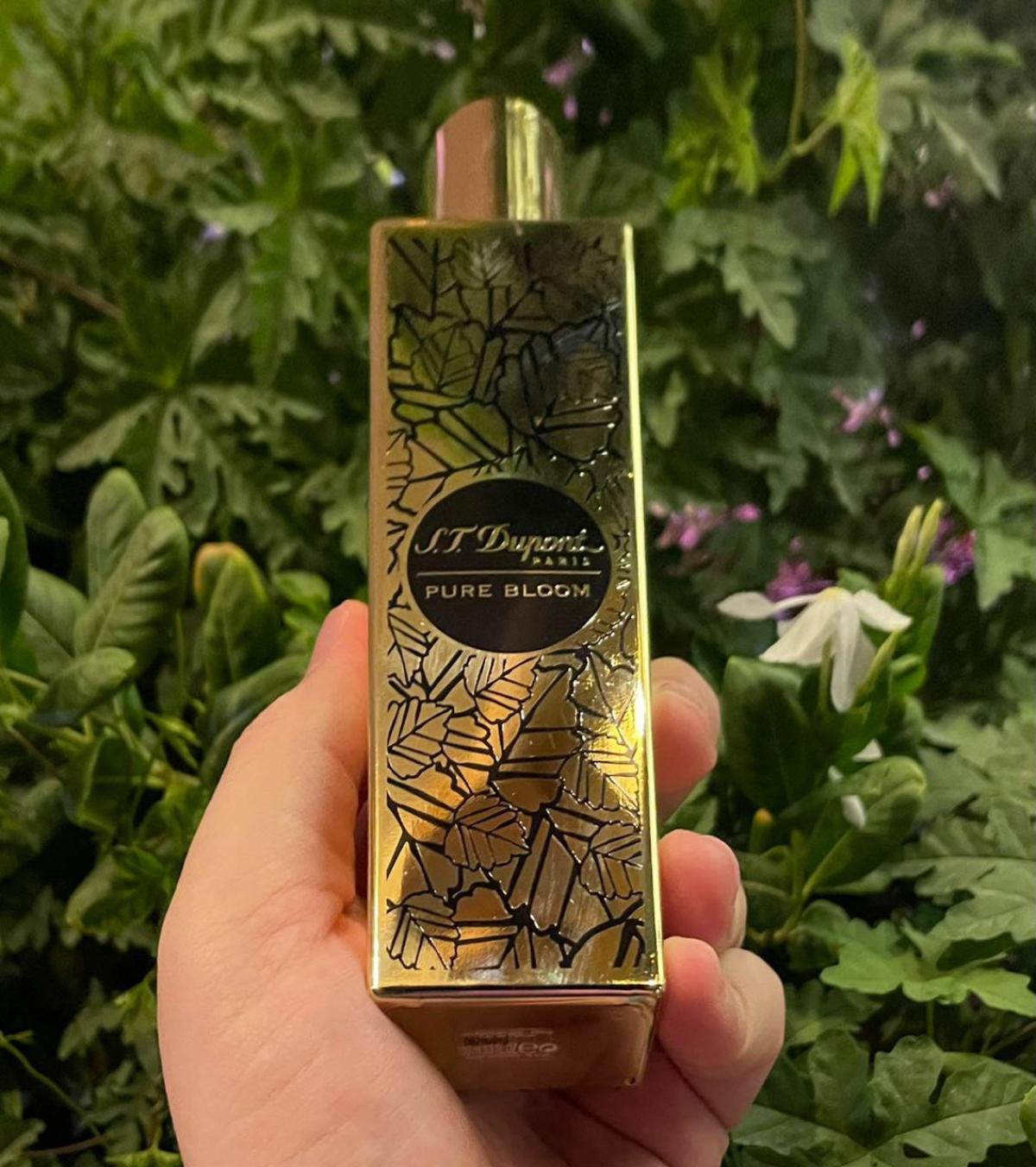 عطر ادکلن پیور بلوم دوپونت - Pure Bloom S.T. Dupont - بررسی، قیمت و خرید