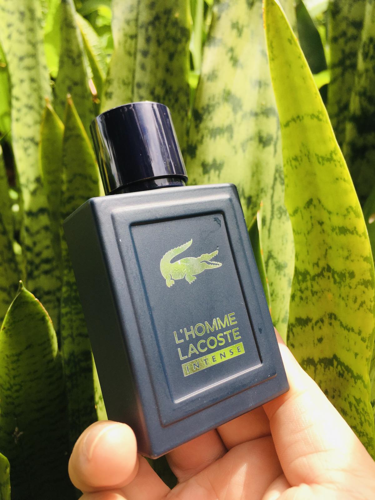 عطر ادکلن لهوم لاکوست اینتنس لاکوست فراگرنسز - L'Homme Lacoste Intense Lacoste Fragrances - بررسی، قیمت و خرید