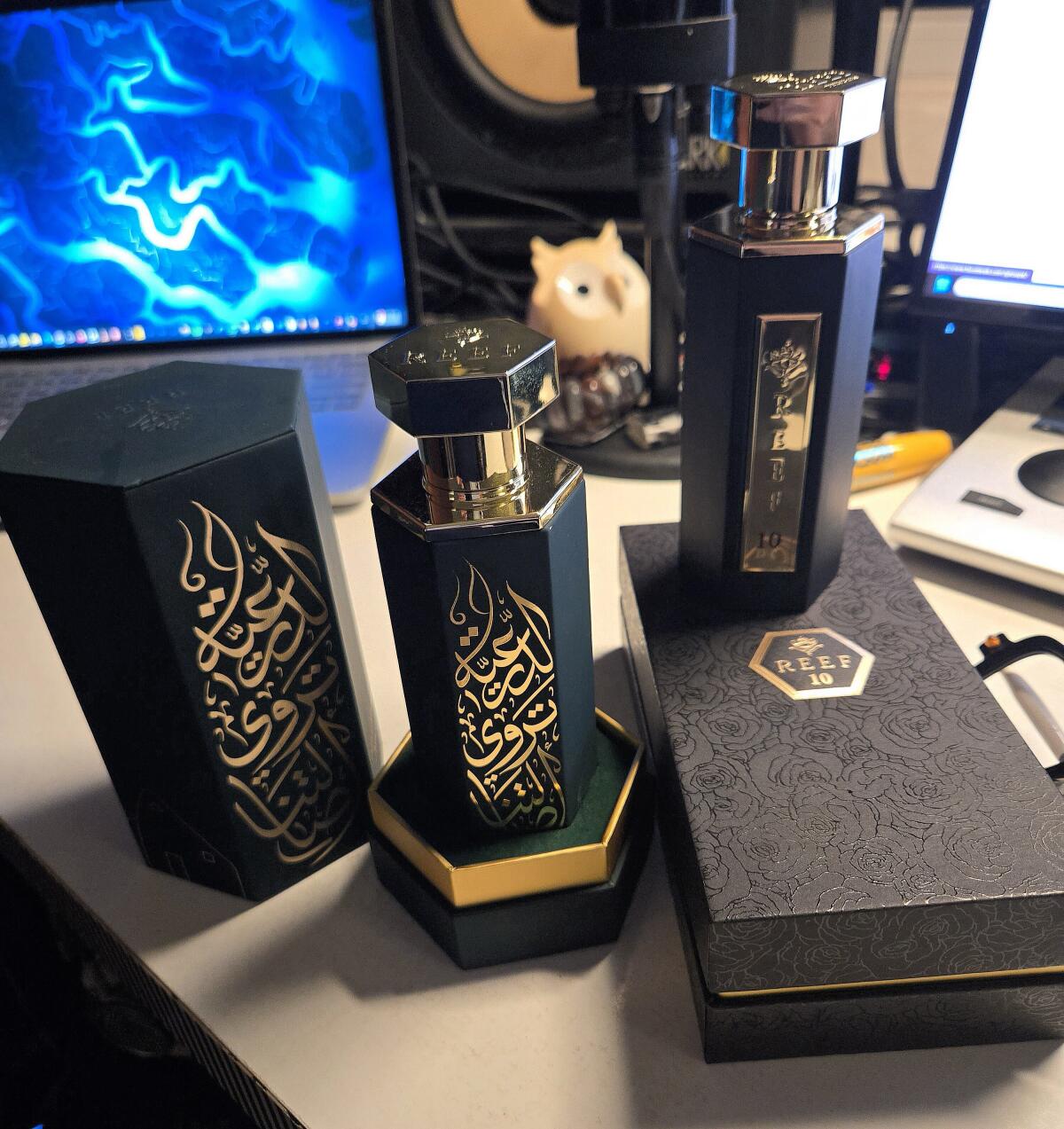 عطر ادکلن ریف تن ریف پرفیومز - Reef 10 Reef Perfumes - بررسی، قیمت و خرید