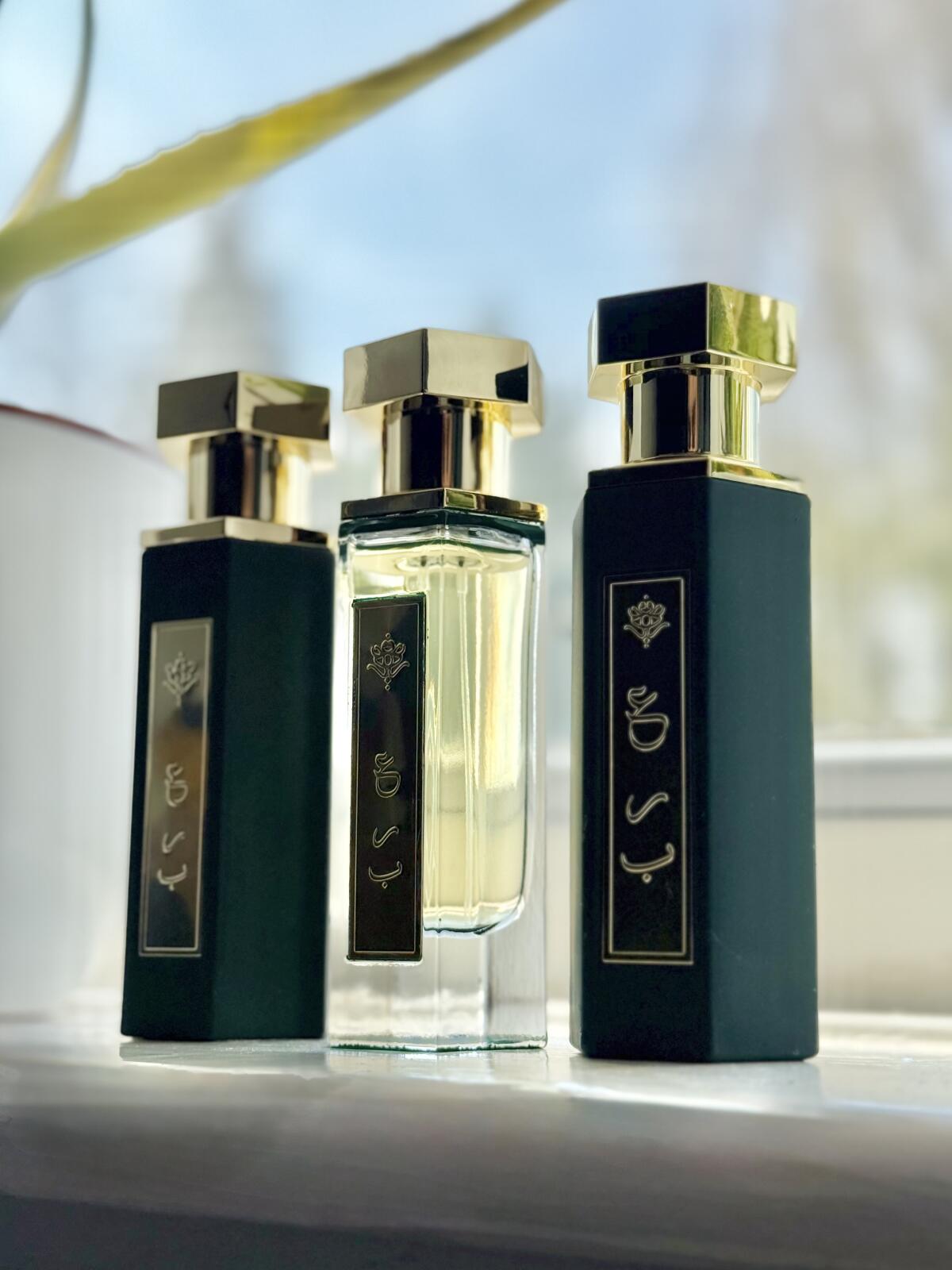 عطر ادکلن عرب‌های العلا ریو پرفیومز - Arabs of AlUla Reef Perfumes - بررسی، قیمت و خرید