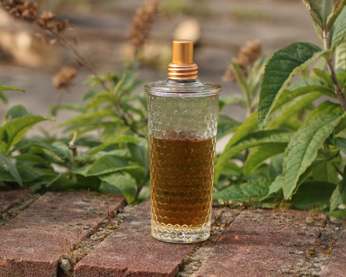 عطر ادکلن میِل و وانیل لوکسیتان ان پرووانس - Miel & Vanille (Honey & Vanilla) L'Occitane en Provence - بررسی، قیمت و خرید