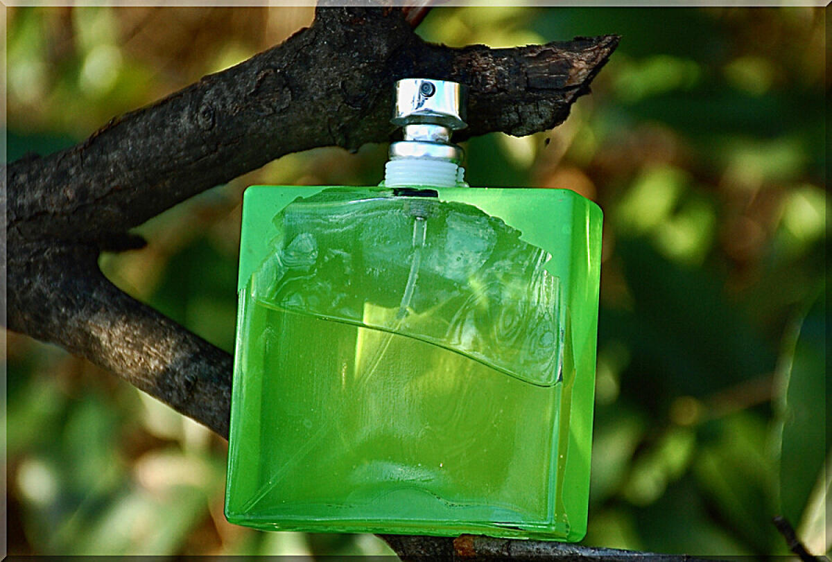 عطر ادکلن آورا فور مِن ژاکومو - Aura for Men Jacomo - بررسی، قیمت و خرید