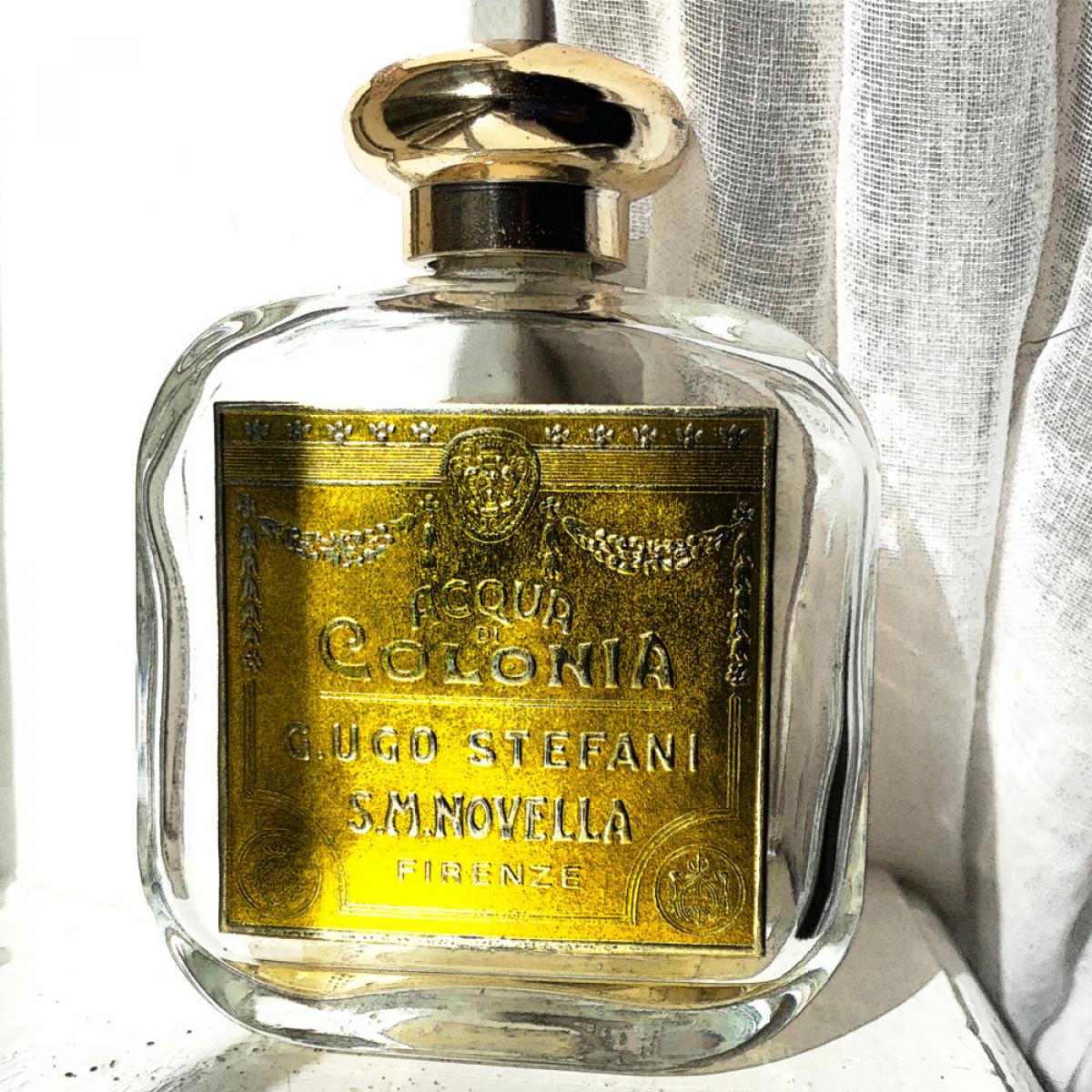 عطر ادکلن کالیکنتوس سانتا ماریا نوولا - Calicantus Santa Maria Novella - بررسی، قیمت و خرید