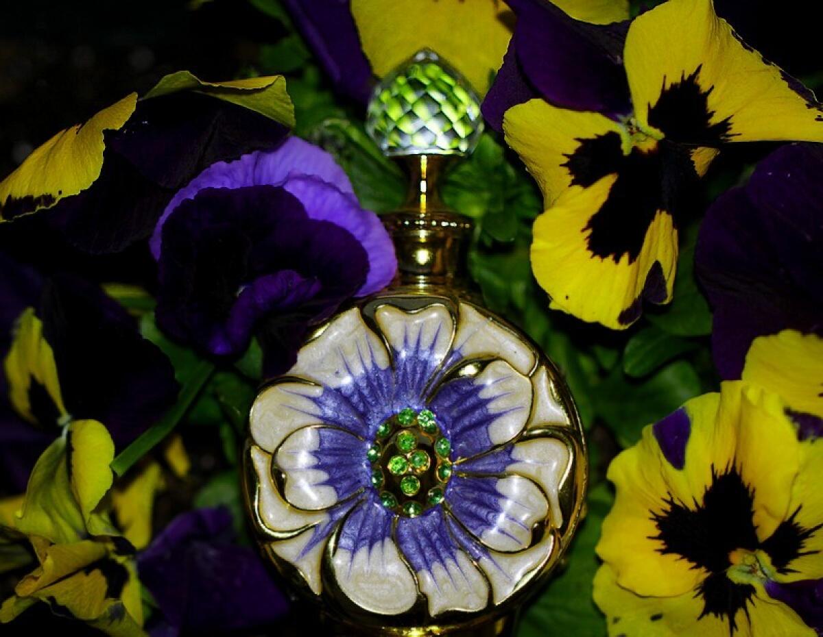 عطر ادکلن لایالی سوییس عربین - Layali Swiss Arabian - بررسی، قیمت و خرید