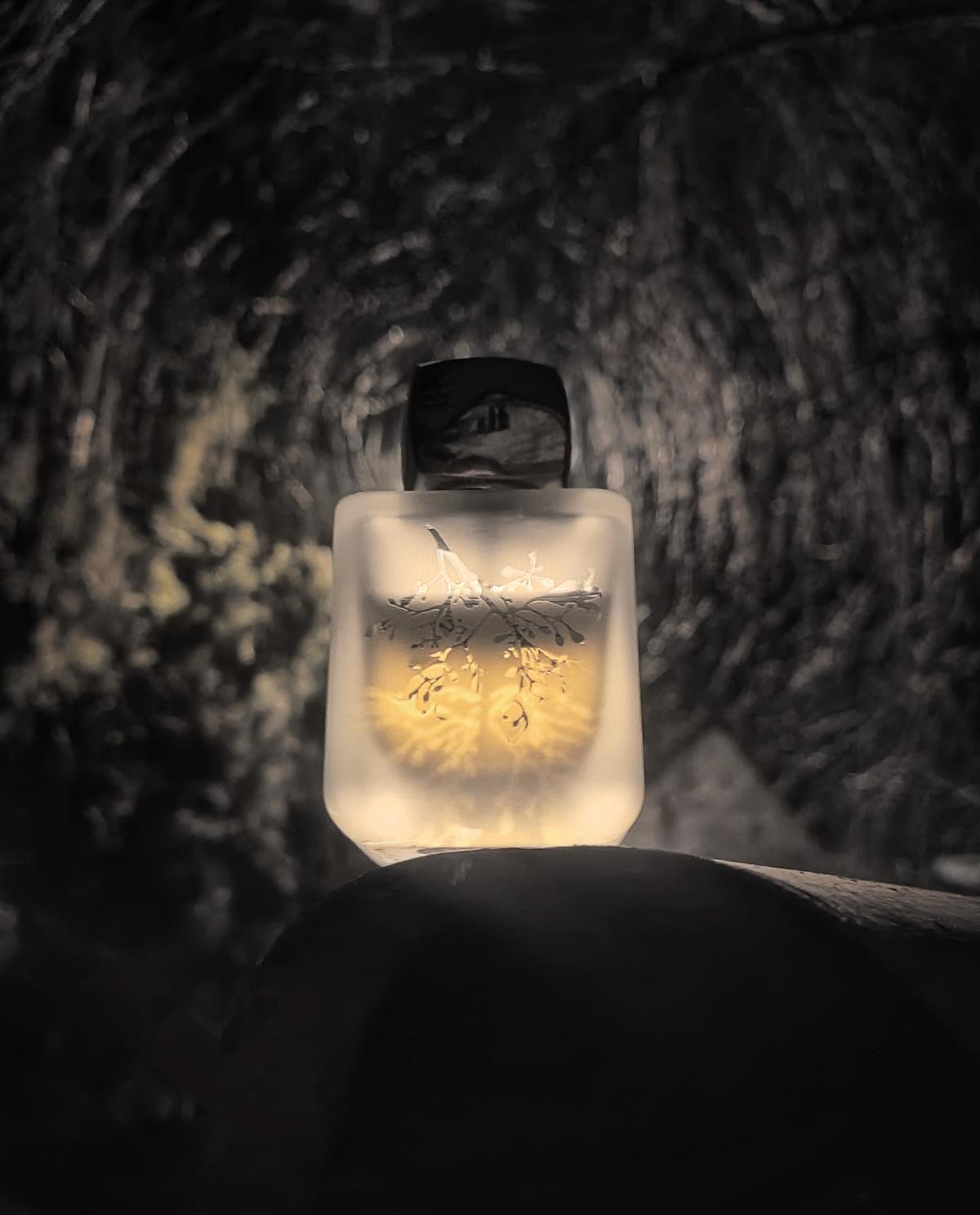 عطر ادکلن لیلْت روژ بانی روژ - Lilt Rouge Bunny Rouge - بررسی، قیمت و خرید