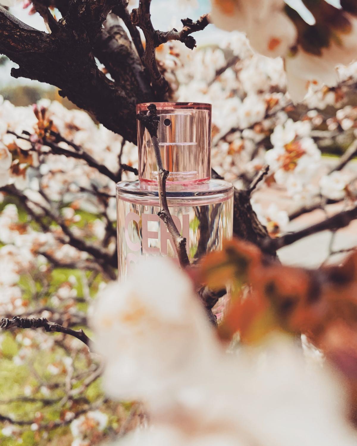عطر ادکلن فلور د سریزیه سولینوتس - Fleur de Cerisier Solinotes - بررسی، قیمت و خرید