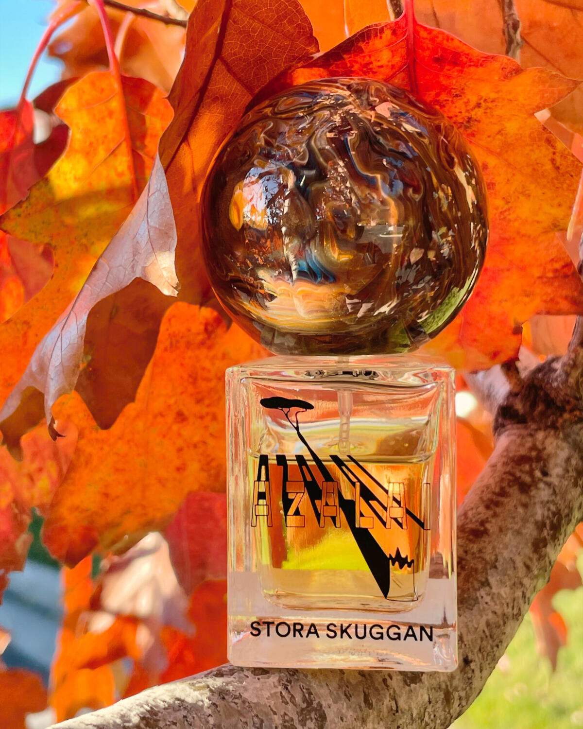 عطر ادکلن آزالی استورا اسکوهان - Azalai Stora Skuggan - بررسی، قیمت و خرید