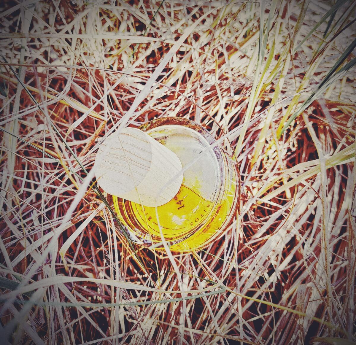 عطر ادکلن آمبانجا ریچارد لوشر بریتوس - 14°S 48°E - Ambanja Richard Lüscher Britos - بررسی، قیمت و خرید