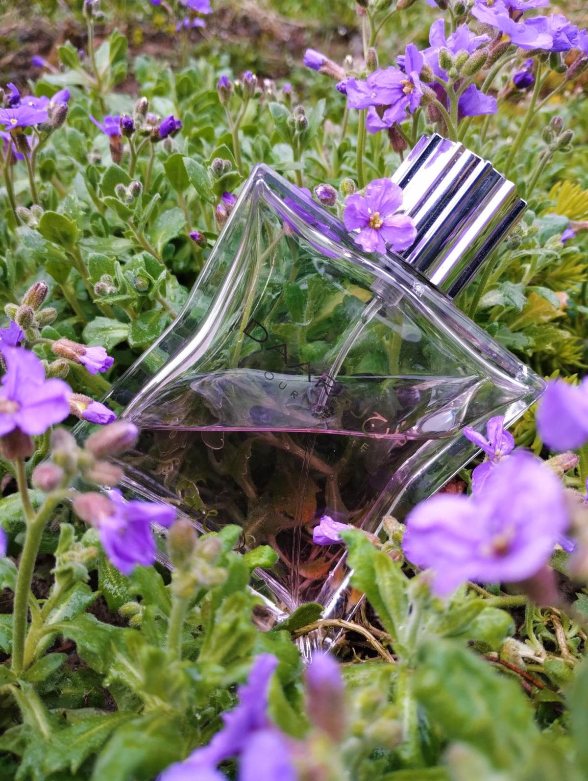 عطر ادکلن دارج پور فم رساسی - Daarej pour Femme Rasasi - بررسی، قیمت و خرید