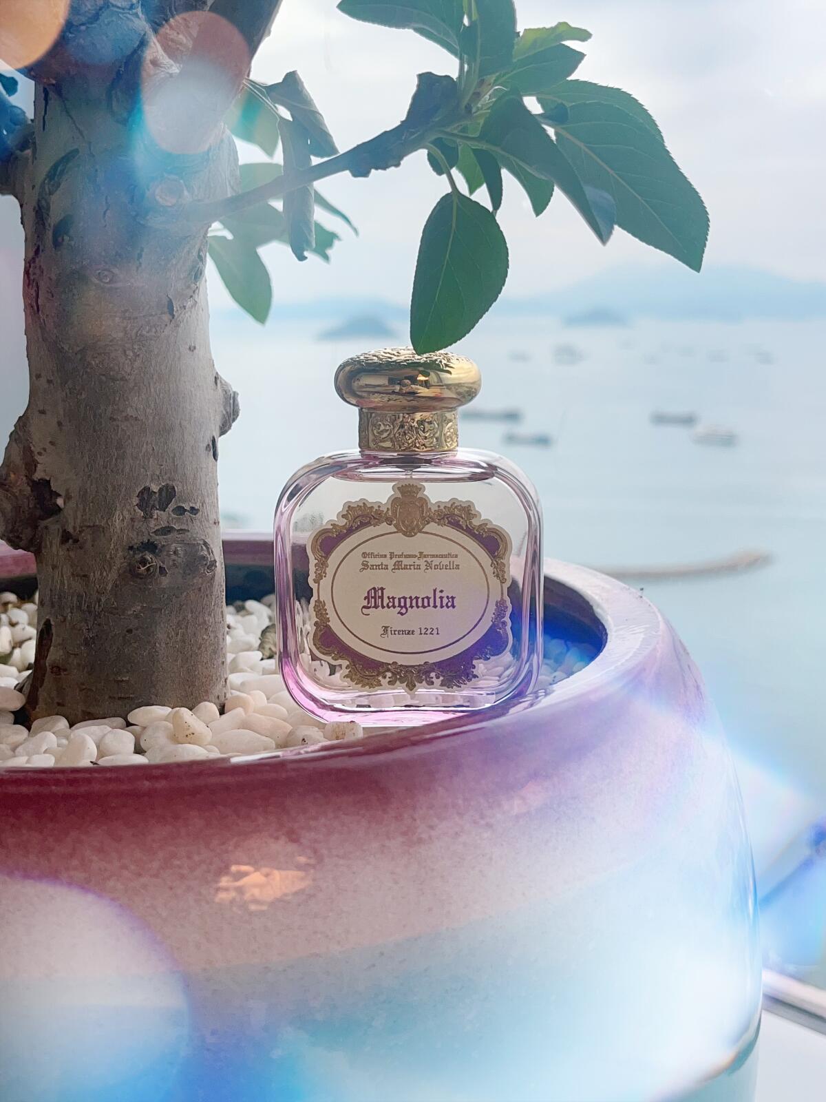 عطر ادکلن مگنولیا سانتا ماریا نوولا - Magnolia (2023) Santa Maria Novella - بررسی، قیمت و خرید