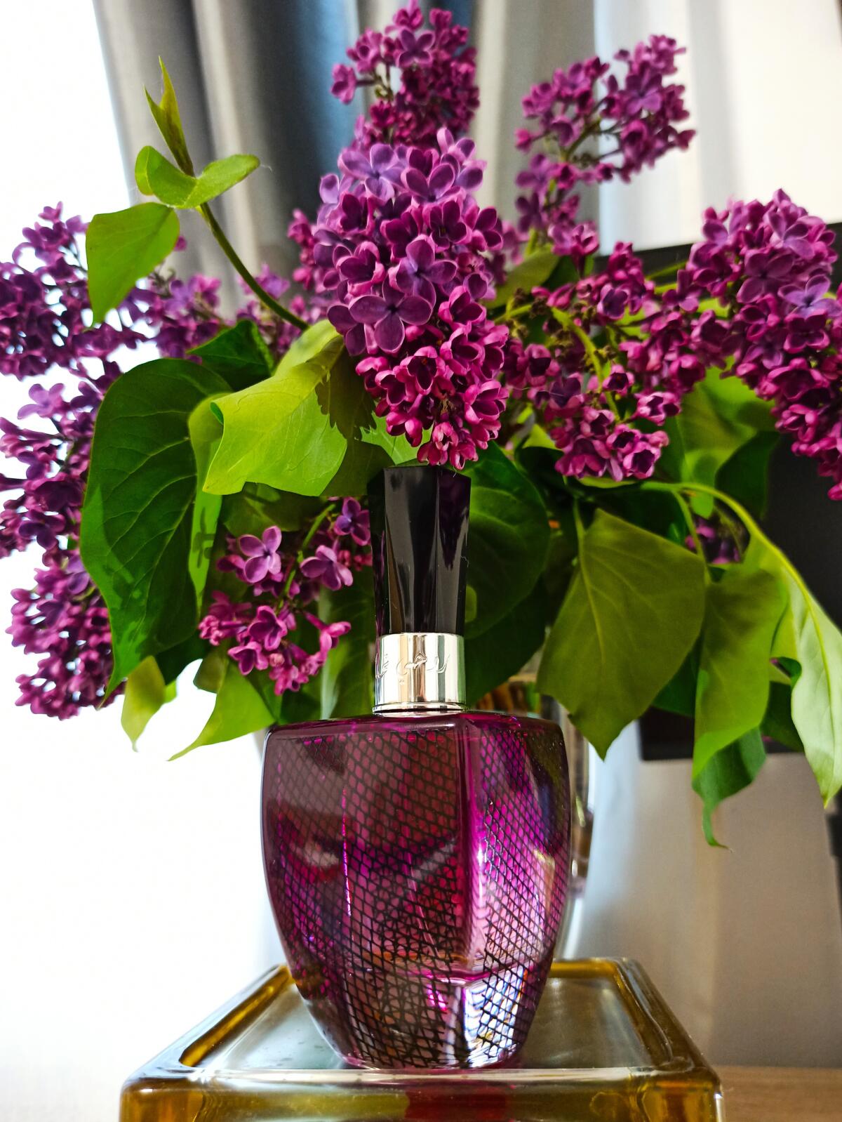 عطر ادکلن روحی تهبک راساسی - Roohy Tehbak Rasasi - بررسی، قیمت و خرید