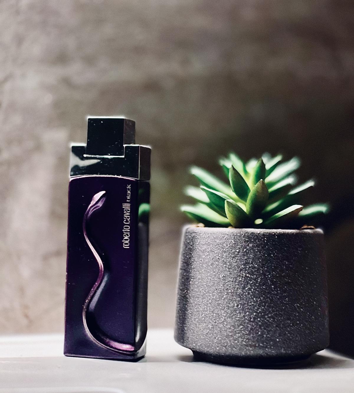 عطر ادکلن روبerto کاوالی بلک روبرتو کاوالی - Roberto Cavalli Black Roberto Cavalli - بررسی، قیمت و خرید