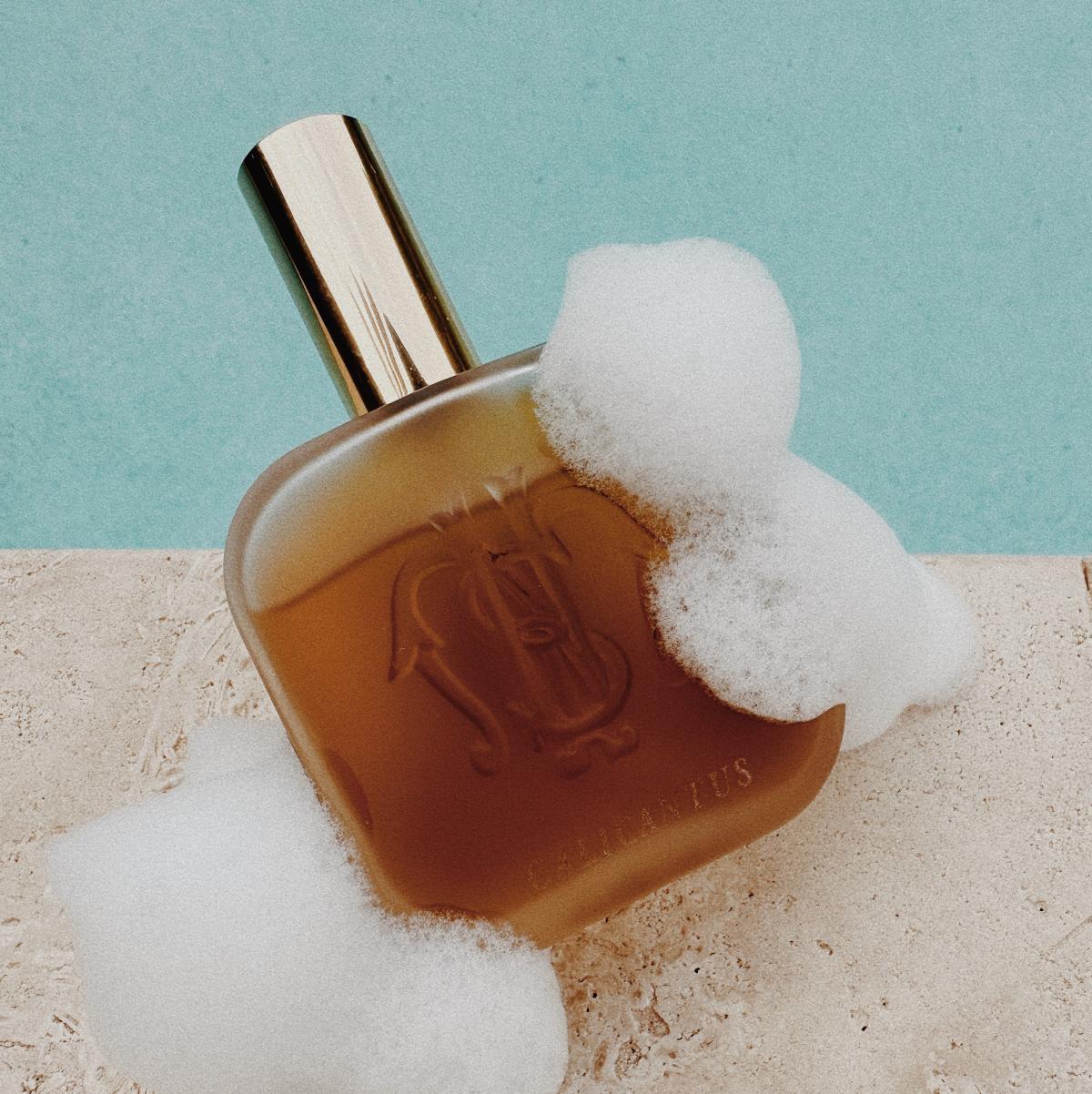 عطر ادکلن کالیکنتوس سانتا ماریا نوولا - Calicantus Santa Maria Novella - بررسی، قیمت و خرید