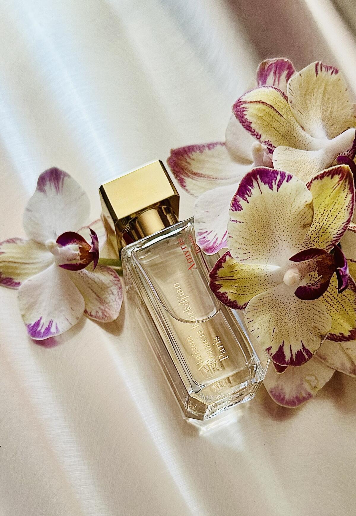 عطر ادکلن اِیمیریس فِم مِیزان فرانسیس کوردیجان - Amyris Femme Maison Francis Kurkdjian - بررسی، قیمت و خرید