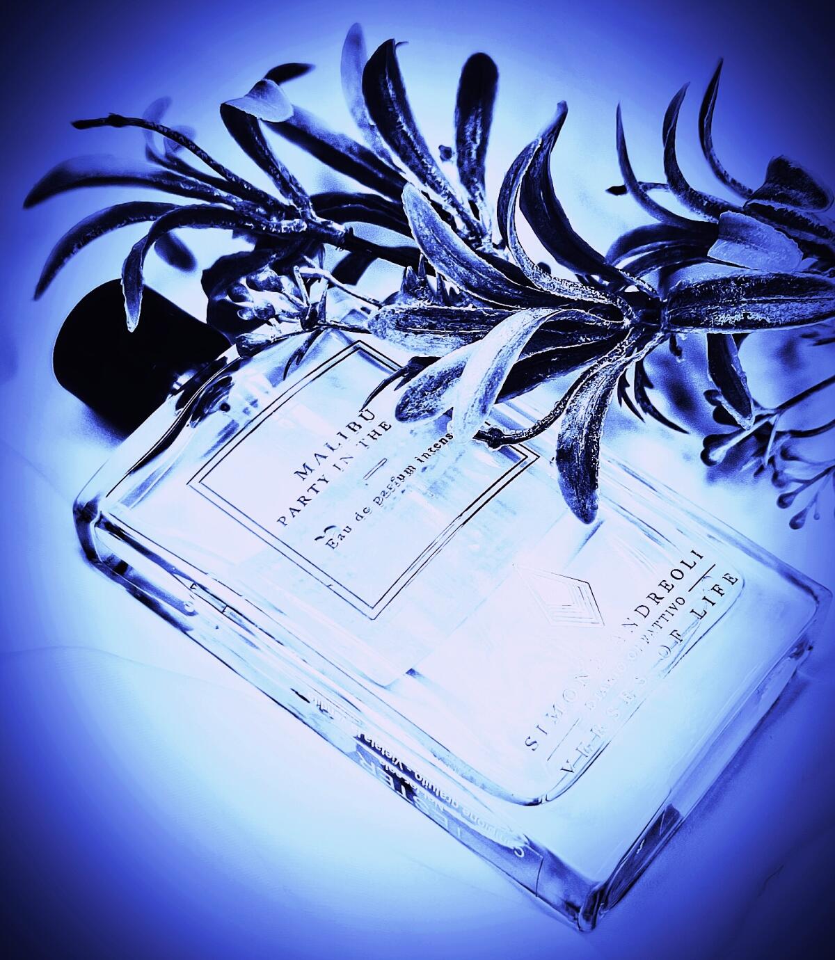 عطر ادکلن ملیبو سیمون آندریولی - Malibu - Party in the Bay Simone Andreoli - بررسی، قیمت و خرید