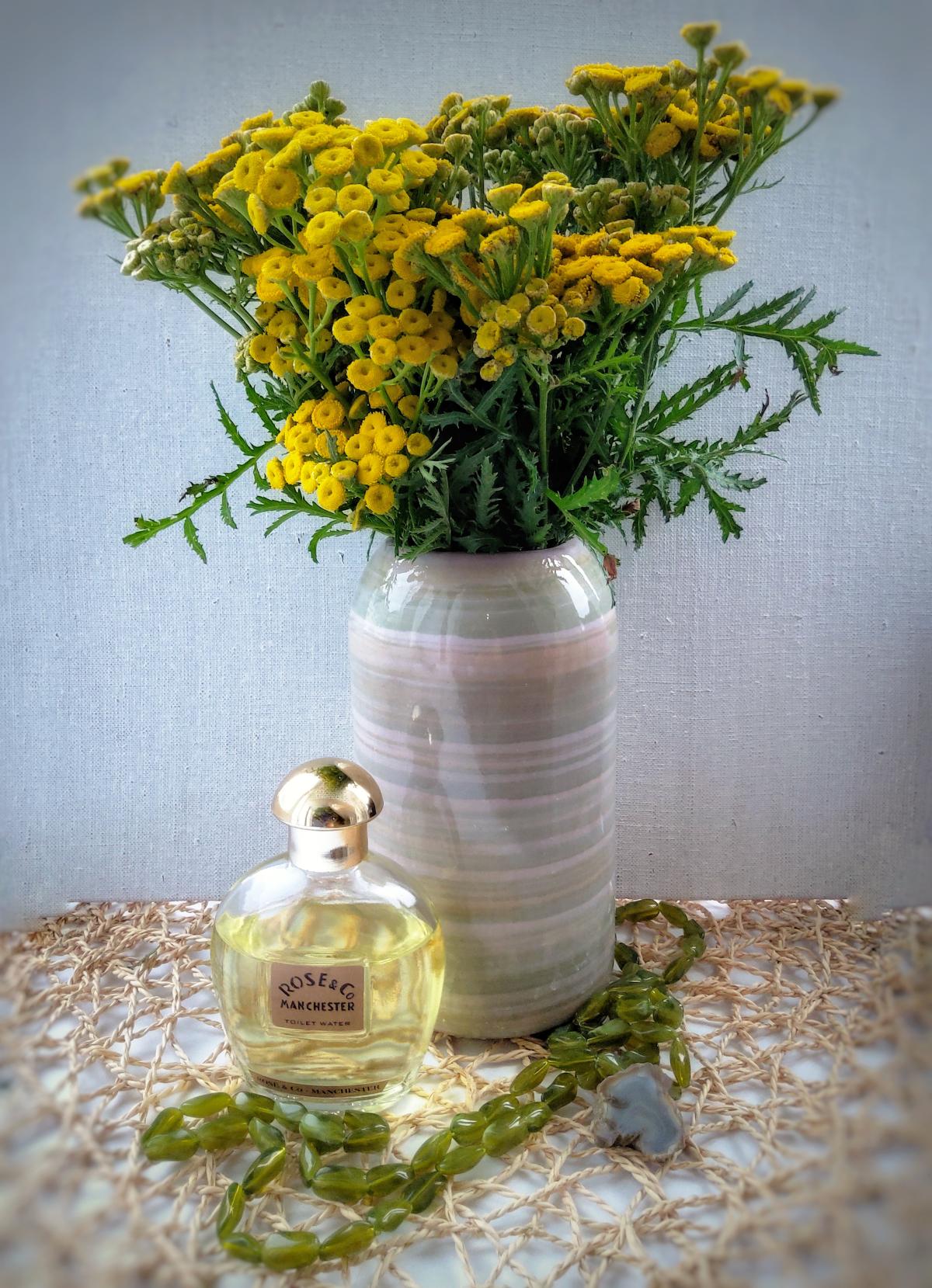 عطر ادکلن رُز اند کو منچستر روز اند کو منچستر - Rose & Co Manchester Rose & Co Manchester - بررسی، قیمت و خرید