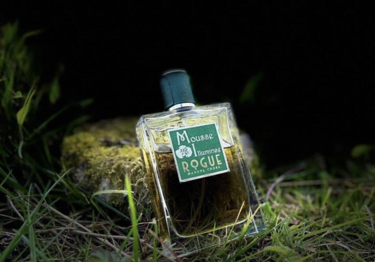 عطر ادکلن موس ایلومی‌نی روگ پرفیومری - Mousse Illuminee Rogue Perfumery - بررسی، قیمت و خرید