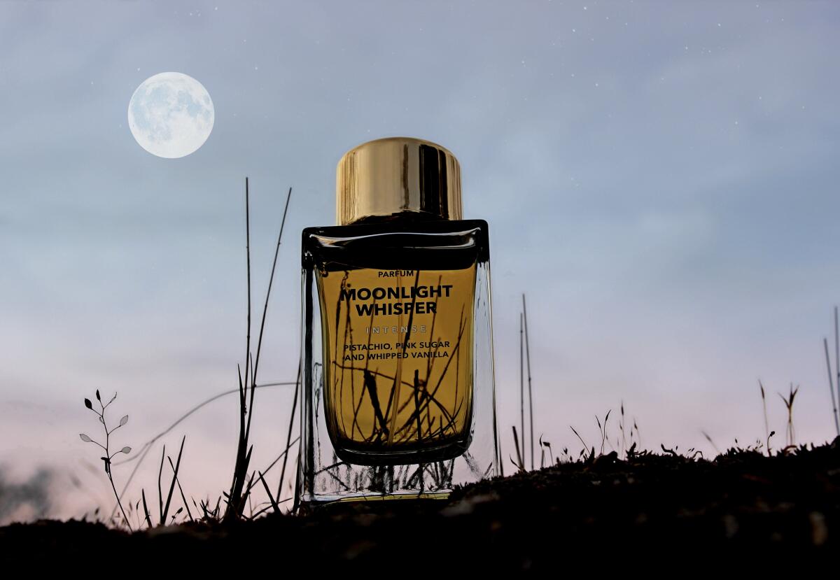 عطر ادکلن مونلایت ویسپر اینتنس زارا - Moonlight Whisper Intense Zara - بررسی، قیمت و خرید
