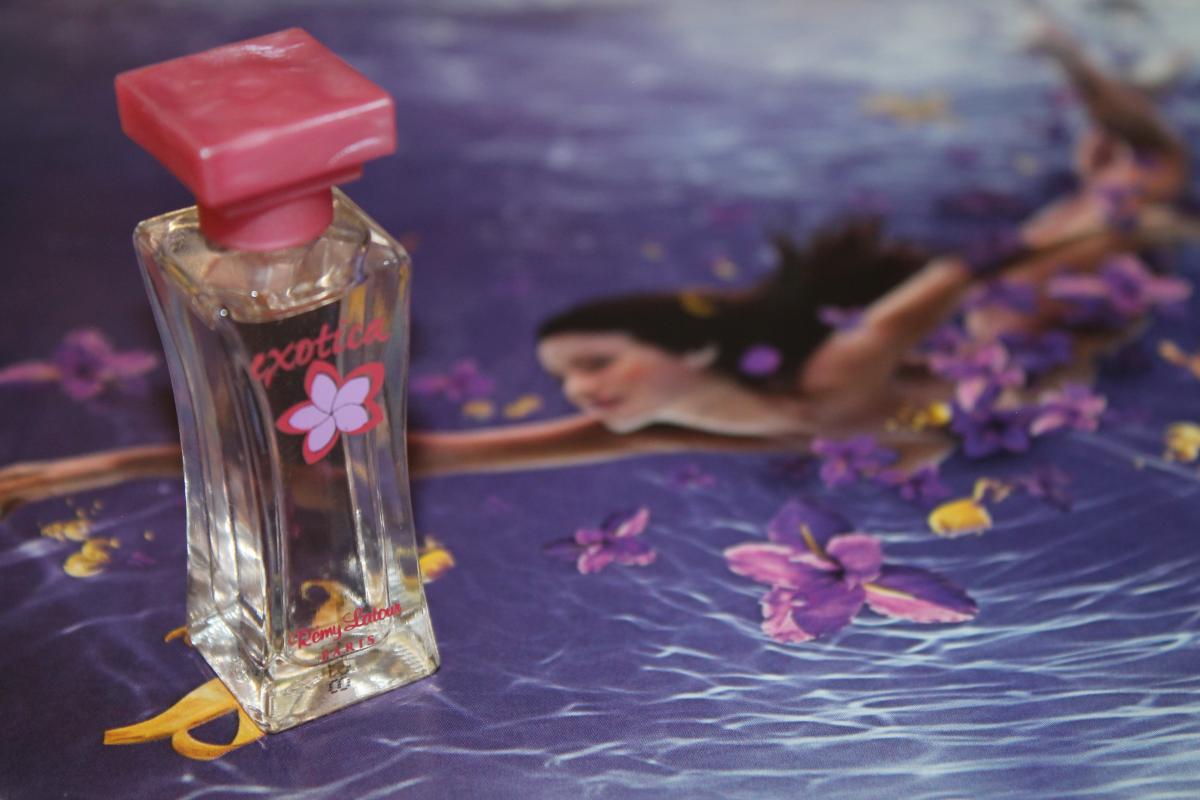 عطر ادکلن اگزوتیکا رمی لتور - Exotica Rémy Latour - بررسی، قیمت و خرید