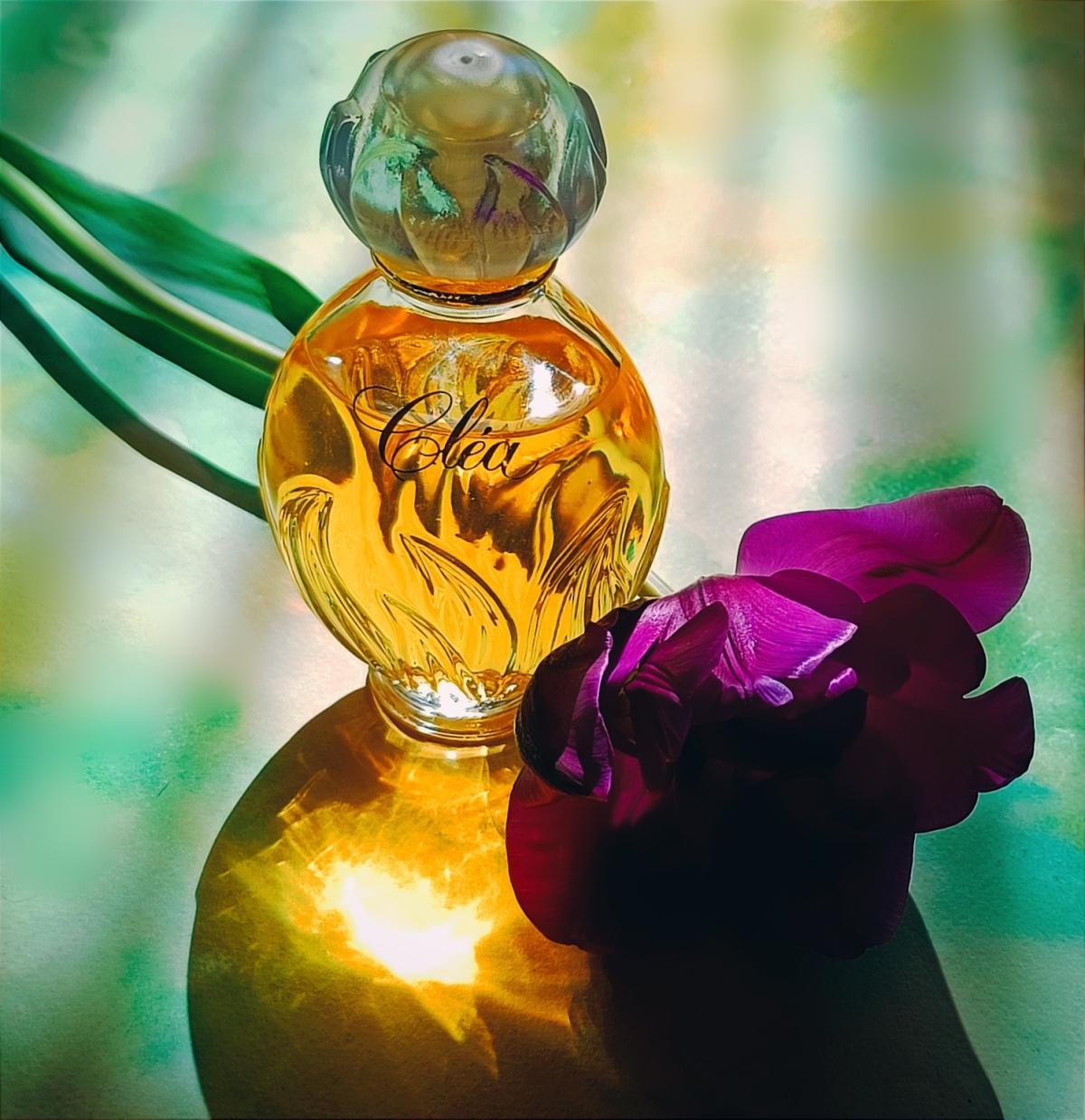 عطر ادکلن کلی ایوروشه - Clea Yves Rocher - بررسی، قیمت و خرید