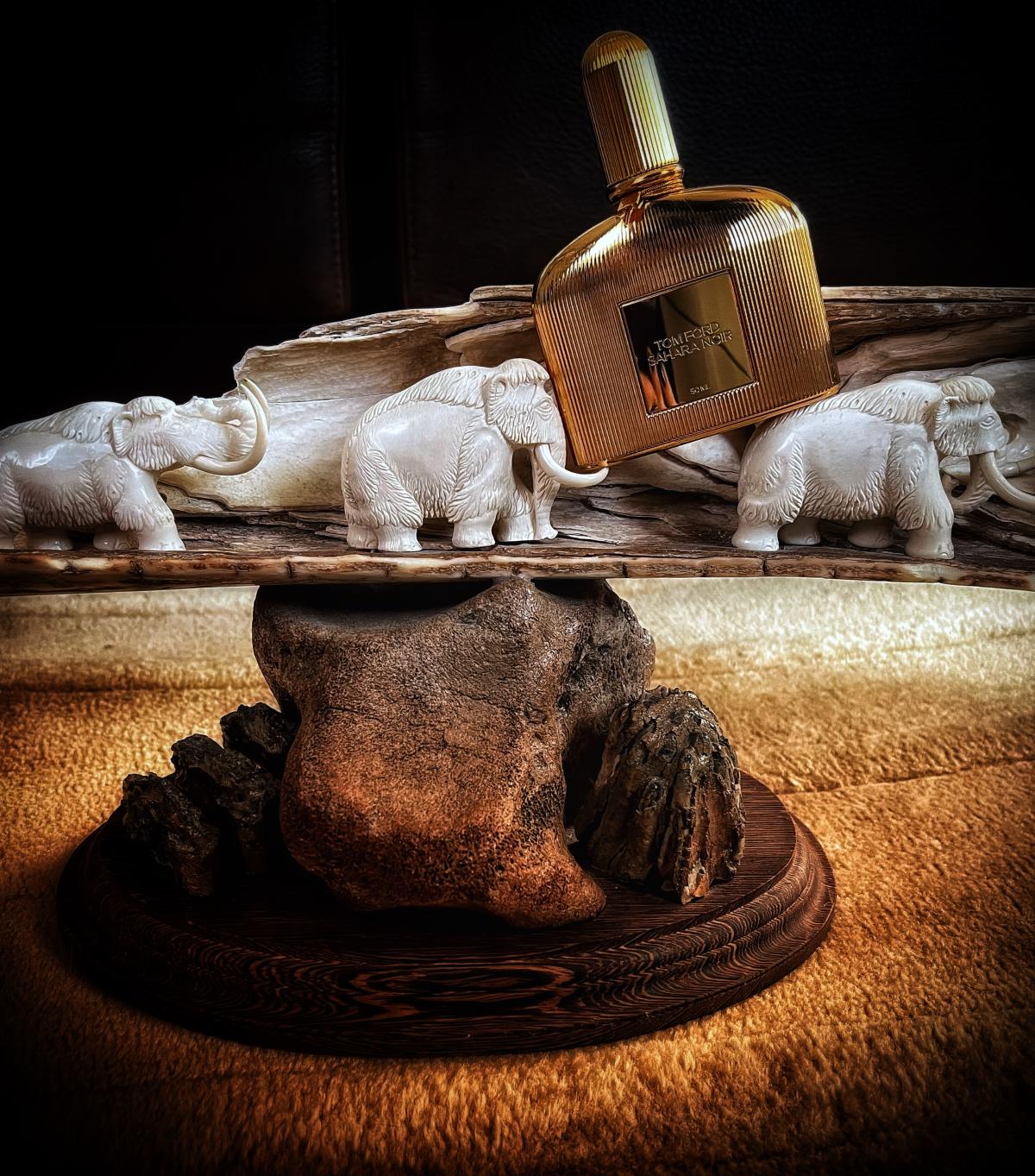 عطر ادکلن صحرای نویر تام فورد - Sahara Noir Tom Ford - بررسی، قیمت و خرید